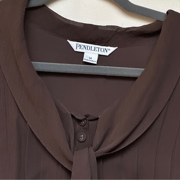 Pendleton Neck Tie Long Sleeve Brown Silk Blouse Size 14 - Picture 2 of 8